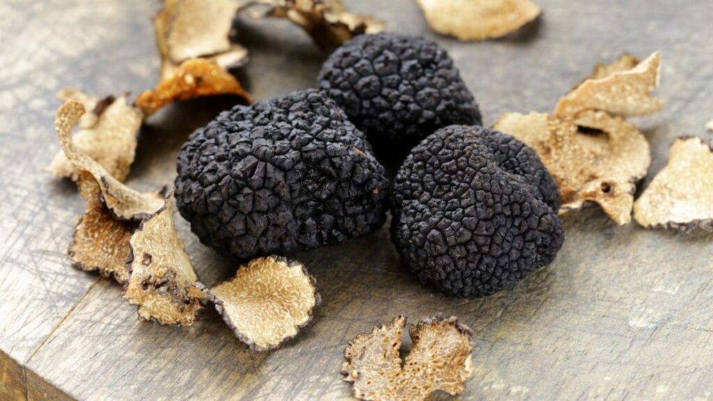 Freshly unearthed truffles ready for culinary use